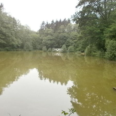 Gite Le Sous-Bois Cerfontaine Ngoại thất bức ảnh