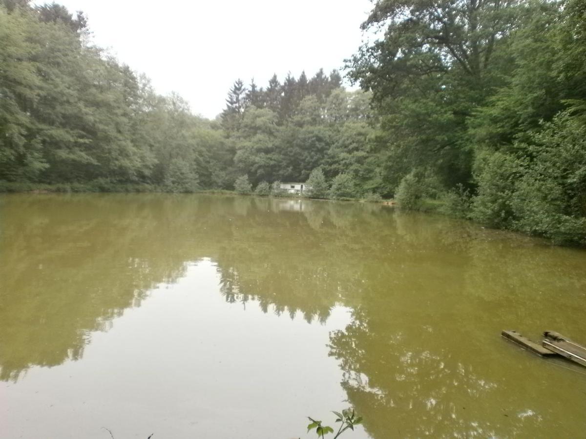 Gite Le Sous-Bois Cerfontaine Ngoại thất bức ảnh