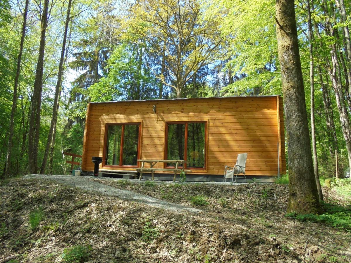 Gite Le Sous-Bois Cerfontaine Ngoại thất bức ảnh
